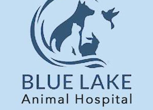 Bluelakeveterinary