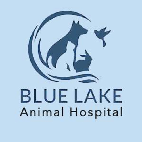 Bluelakeveterinary