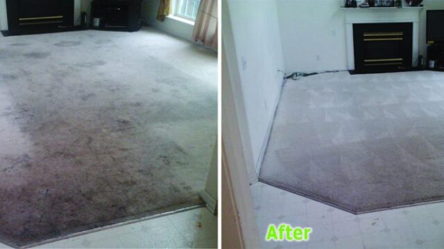 professional carpet cleaning Concord