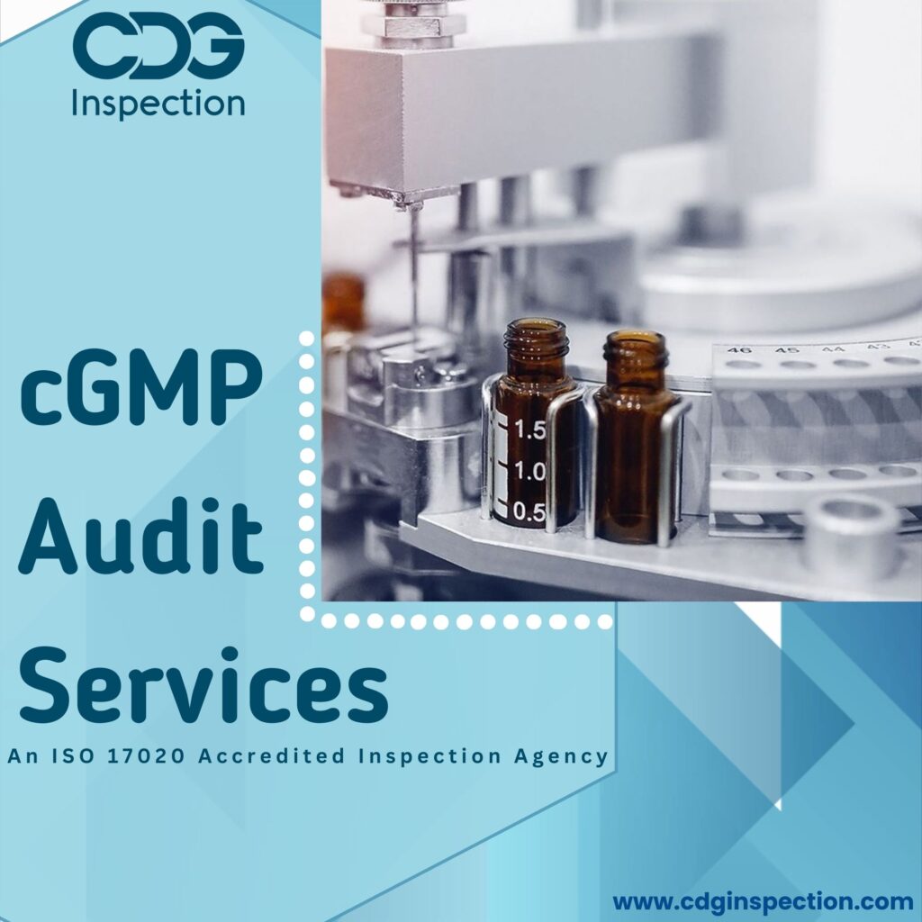 cGMP Audit Services5