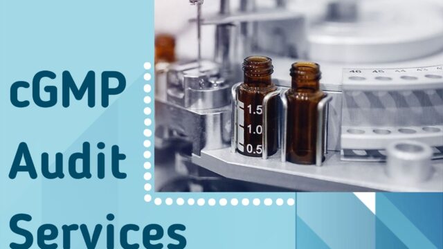 cGMP Audit Services5