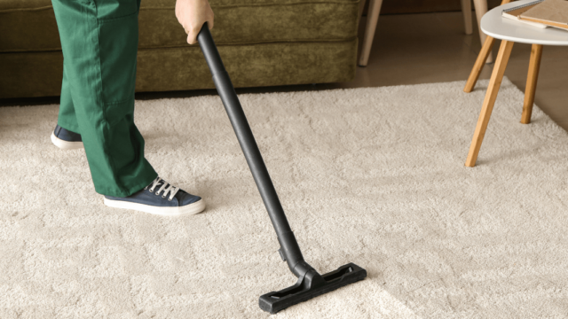 Carpet cleaning (1)