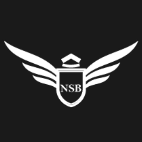 NSB logo