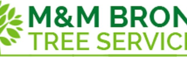 MM Bronx Tree Service